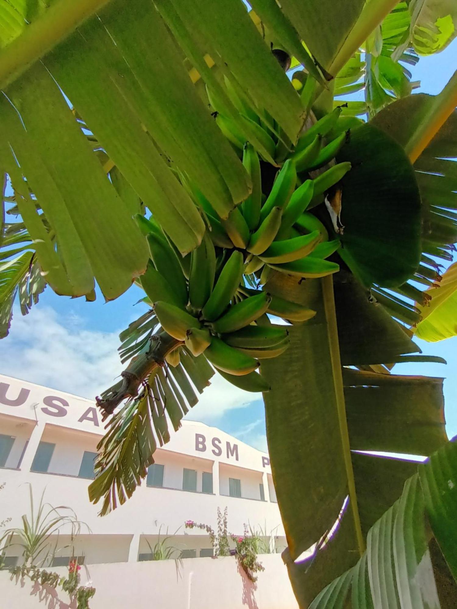 Hotel Bsm